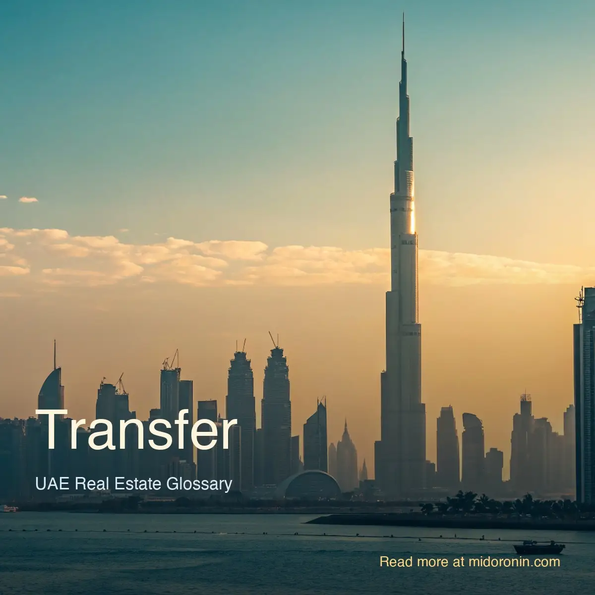 Transfer — midoronin.com